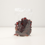 Plum Yums - Juicy & tart dried fruit slices